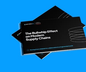 Bullwhip Effect eBook