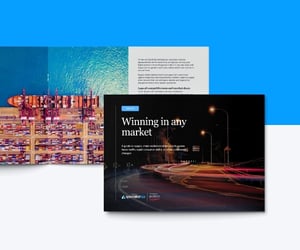 Tariffs eBook: Winning in Any Market