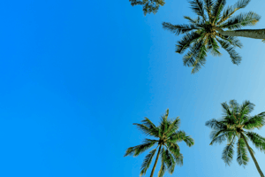 JetBlue dream vacation giveaway