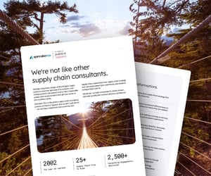 Who is Spinnaker SCA, Publicis Sapient company, supply chain consulting