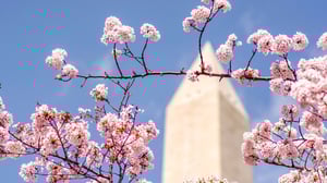 Meet us at Softeon Fulfill 2026