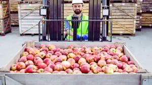 Dot Foods WMS upgrade, Blue Yonder WMS